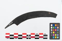Foto von Eisengriffangelmesser (NHMW-PRAE-025625)